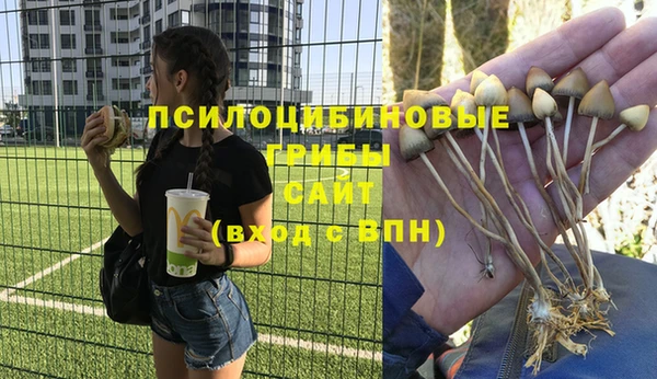а пвп мука Балабаново
