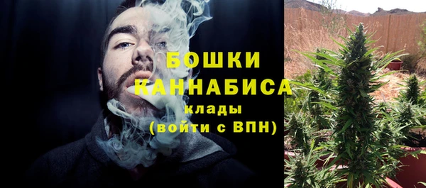 прущие грибы Инсар