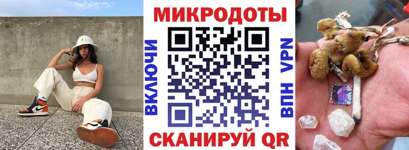 Псилоцибиновые грибы Psilocybine cubensis  Бирск 