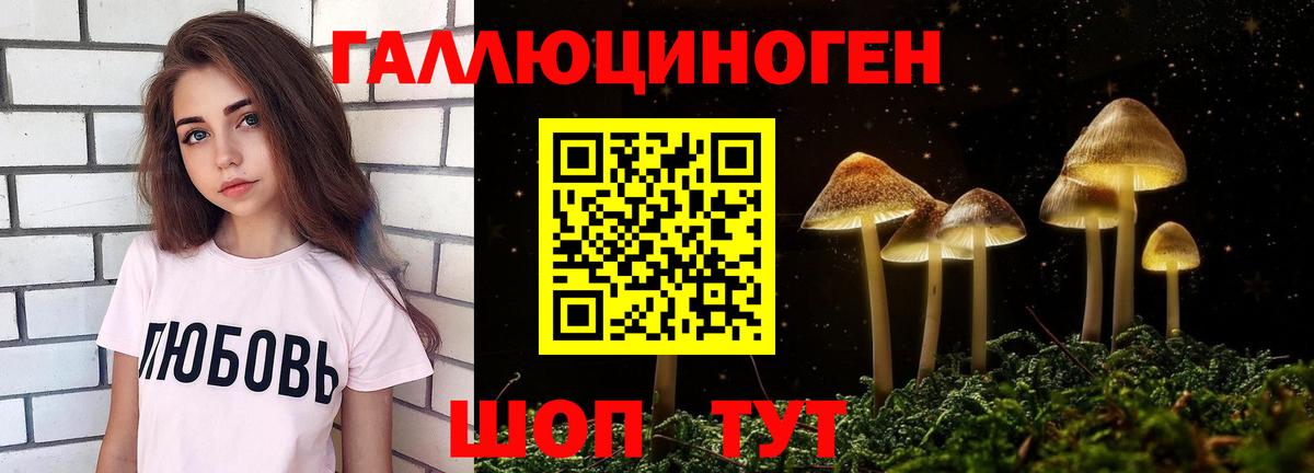 Псилоцибиновые грибы Psilocybine cubensis Бирск
