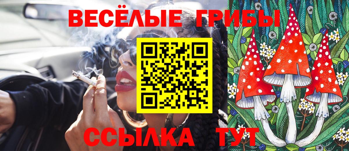Псилоцибиновые грибы Psilocybe  Вход с VPN  Бирск 
